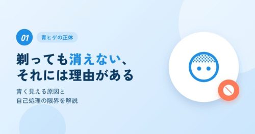 見出し1